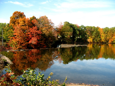 Connecticut Fall