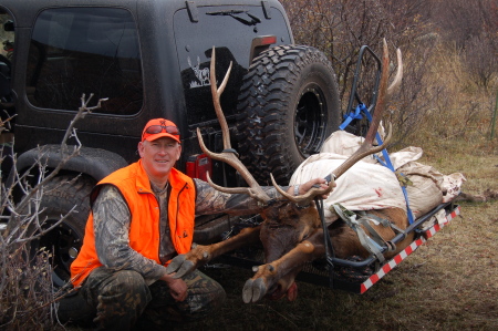 2008 Rocky Mountain Elk, Meeker CO.