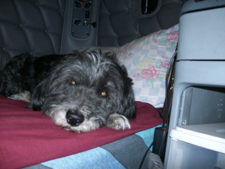 abby in the truck sleeper