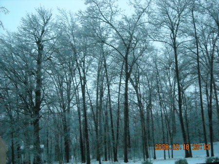 ice storm 08-09