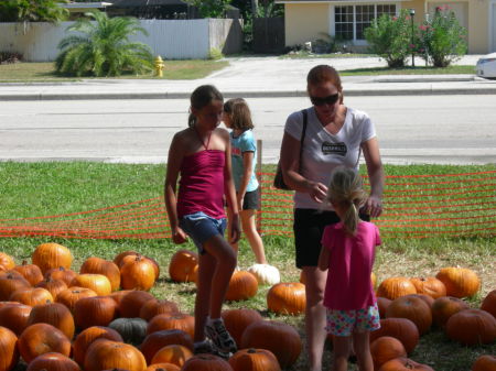 Florida pumpkin patch