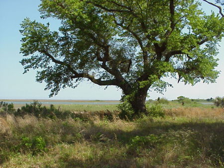 the intracoastal waterway