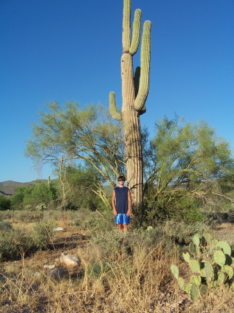 Cody in Arizona