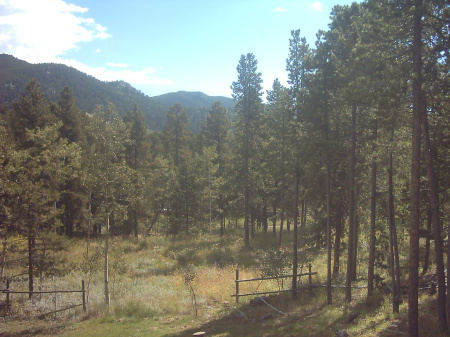 back yard without snow