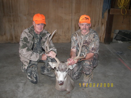 2008 Mule Deer