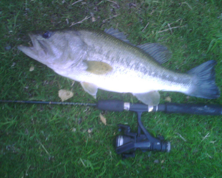 5 lb. 10 oz. Largemouth Bass, caught 5/4/2009