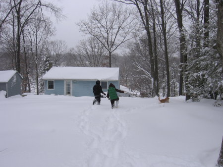 08.under the snow 02-26-2010
