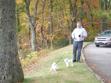 James and the dogs