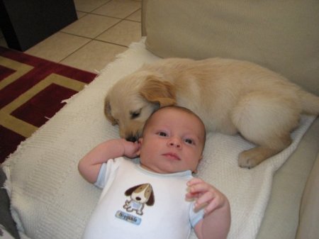 My grandson and grandaughters puppy