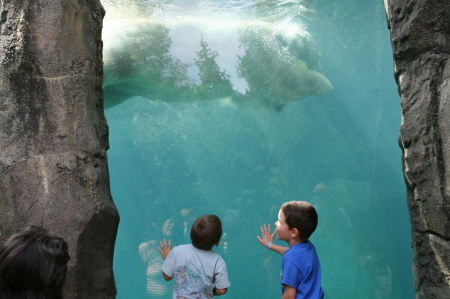 The Cincy Zoo Sept 3 '09