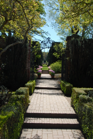 Filoli Gardens view