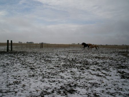 It does snow in Texas!