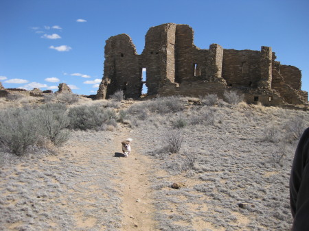 Pueblo Pintado Chaco Ruins