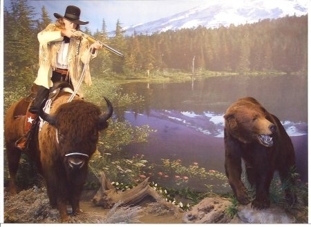 Bear Hunting On Big Joe The Buffalo