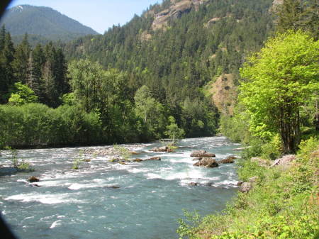 Elwha River Valley