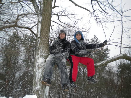 michael and billy up a tree