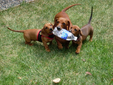 My best friend Karma and her kids