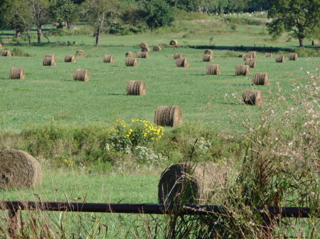 Hay Anybody !!