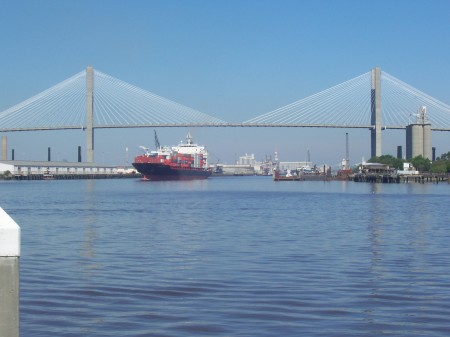 Savannah river