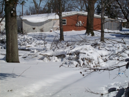 Snow Storm of Feb 2009
