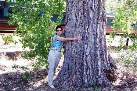 Hug a tree-Rio Grande New Mexico -May 29-08