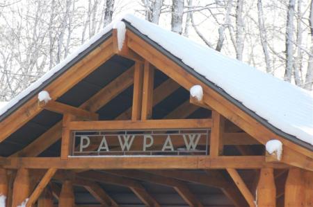 Paw Paw winter (5) (Medium)