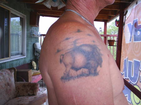 buffalo tattoo