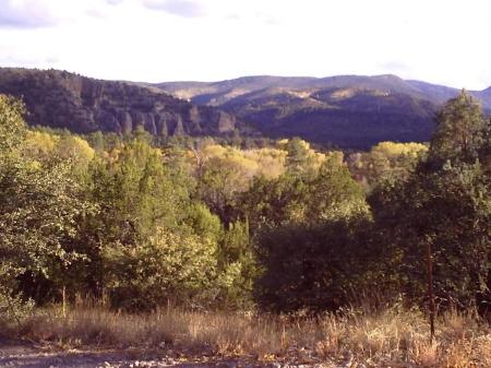 Gila National Forest-New Mexico