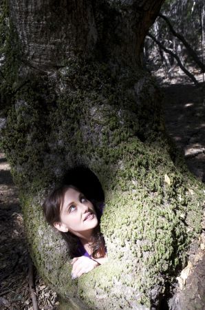 in tree