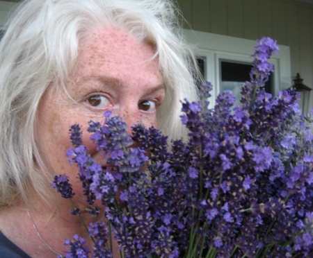 lavender from our garden