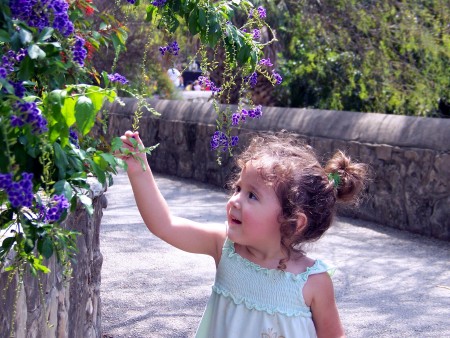 Sierra admires a pretty flower at SA Zoo