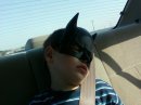 bat nap