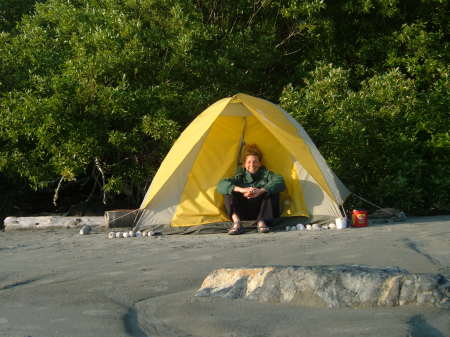 Meares Island June 2009