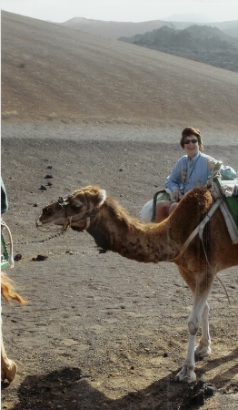 On a camel in the Canary Islands