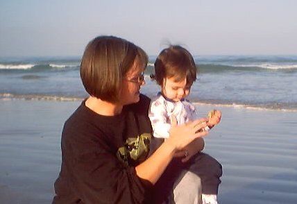 Learning About the Beach