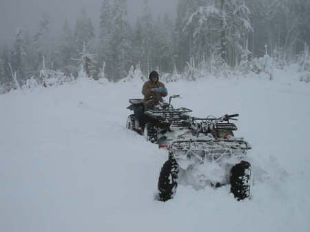 Playing in the snow