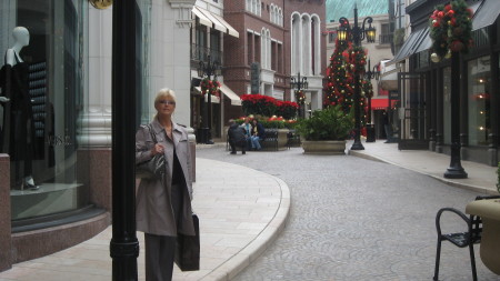 Christmas Shopping on Rodeo Drive