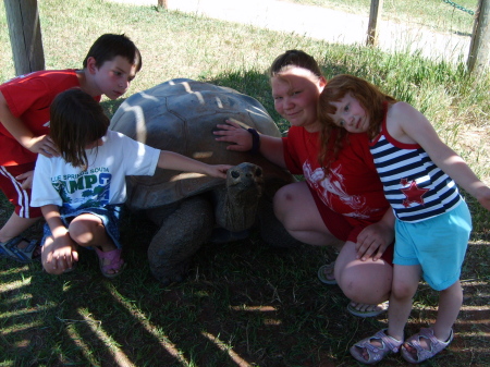 kids and a really old tortoise