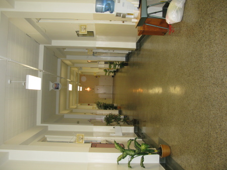 The halls of OLoL School!