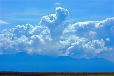 Teddy Bear Cloud