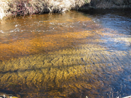 Colorful water