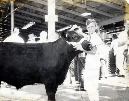 4-H Cattle Auction back in the day
