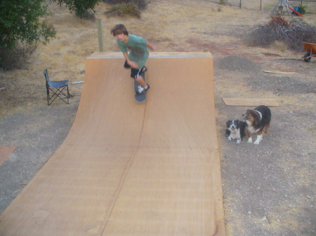 Pauley, Oreo and Henry