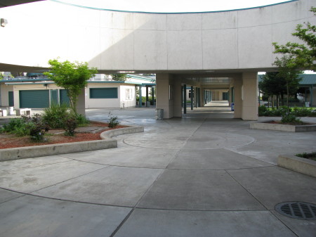 What SVHS Looks Like Now (2009)