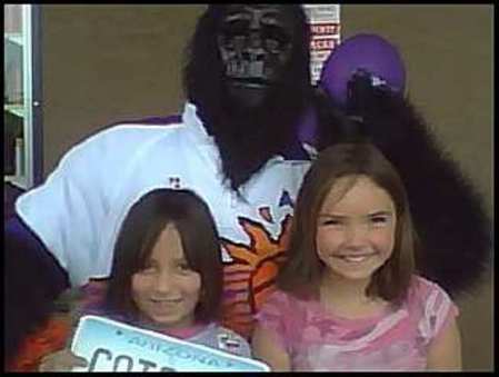 Daughter and Suns gorilla