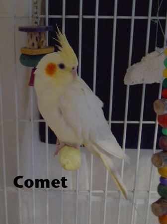 Comet