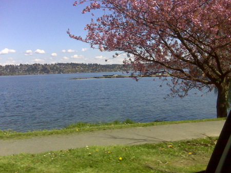 Seattle Spring 2009