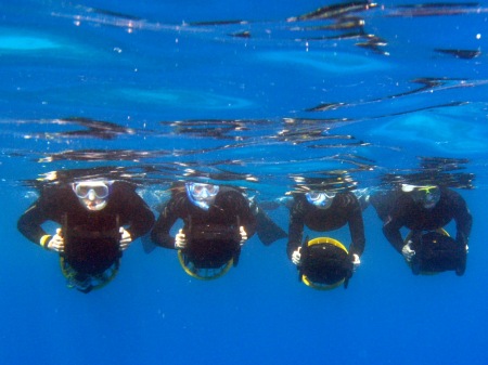 Family Snorkel Day