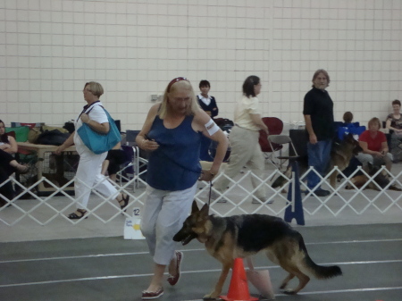 Robin, Rally-Novice B, Fitchburg, Ma