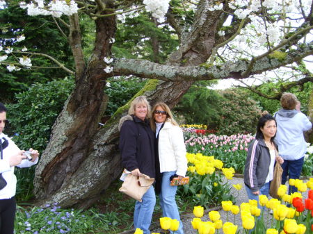 Tulip Festival in WA State